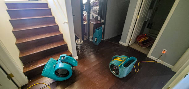 Best Flood damage cleanup  in Morgans Point Resort, TX
