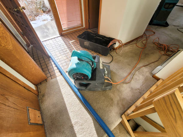 Best Flood restoration services  in Morgans Point Resort, TX