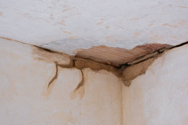 Best Professional water damage repair  in Morgans Point Resort, TX