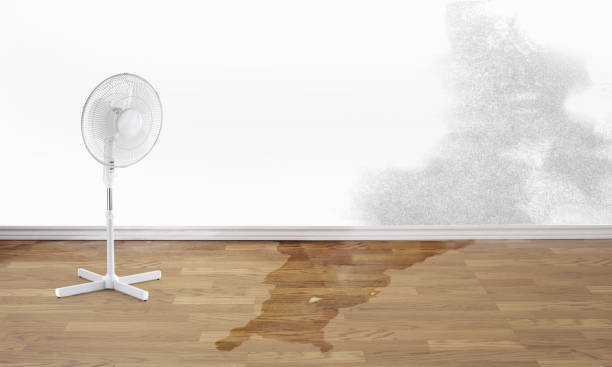 Best Emergency water damage restoration  in Morgans Point Resort, TX