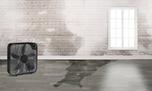 Best Sewage cleanup and water damage restoration  in Morgans Point Resort, TX