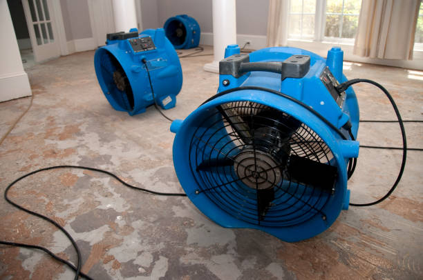 Trusted Morgans Point Resort, TX Water damage restoration Experts