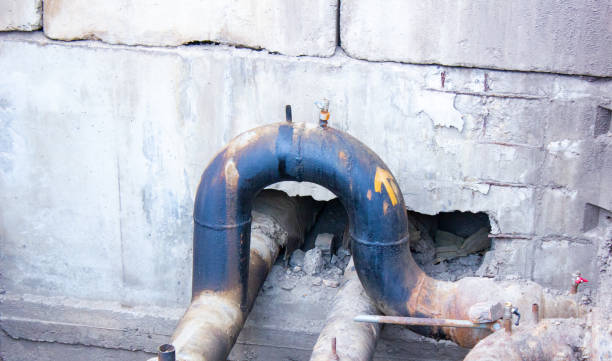 Best Mold removal after water damage  in Morgans Point Resort, TX