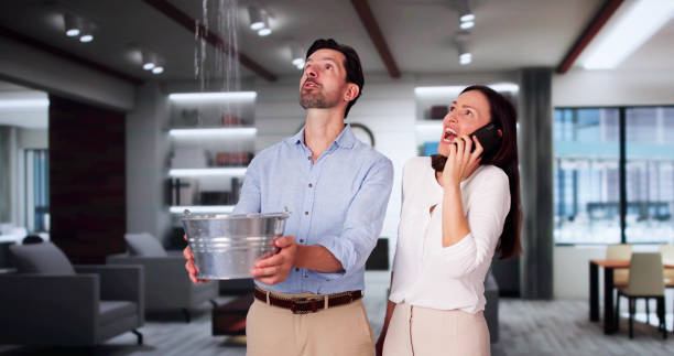 Best Ceiling water damage repair  in Morgans Point Resort, TX