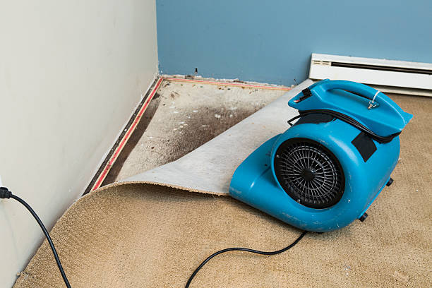 Best Commercial water damage restoration  in Morgans Point Resort, TX